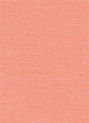Cruise Coral Al Fresco Oxford Fabric