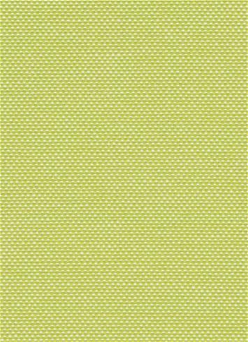Cruise Lime Al Fresco Oxford Fabric
