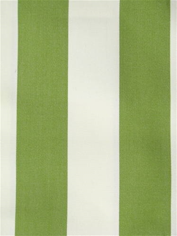 Cabana Lime SunReal Performance Fabric