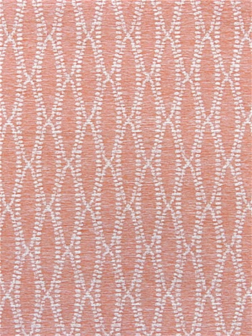 Camber Coral Outdoor Bella Dura Fabric