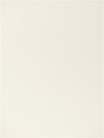 Canvas Birds Eye 5472-0000 Sunbrella Fabric