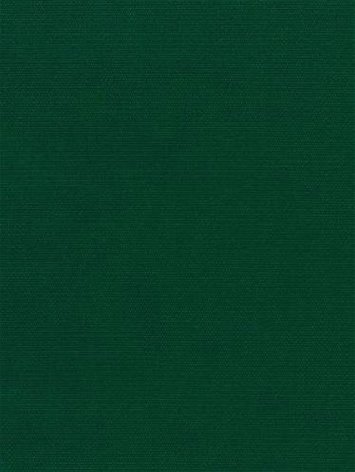 Canvas 5446 Forest Green Sunbrella Fabric