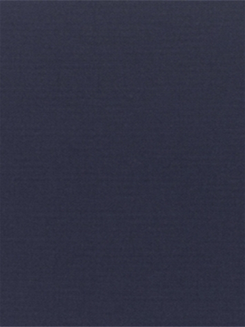 Canvas Navy