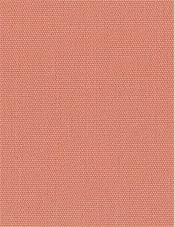 Canvas 5427 Coral