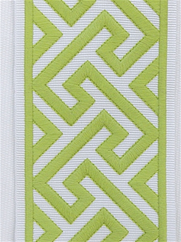 Capri Key Lime Embroidered Trim Tape Europatex 