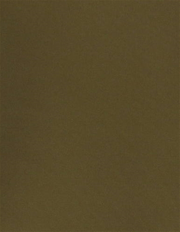 Solid Mink Brown SunReal Performance Fabric 