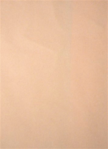 Casablanca 47 Petal Pink Europatex