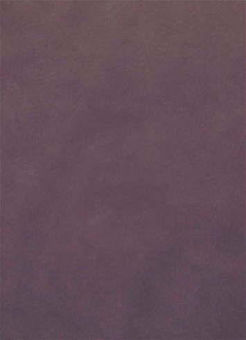 Casablanca 61 Lavender Purple