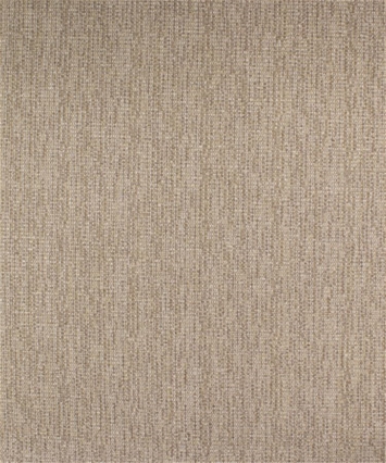 M10073 Oatmeal 11112