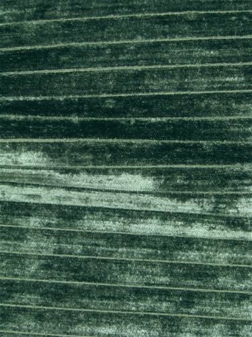 Channels Kale Soft Velvet