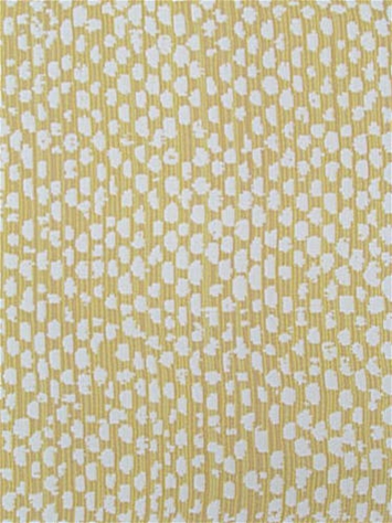 Conga Goldenrod Bella Dura Fabric