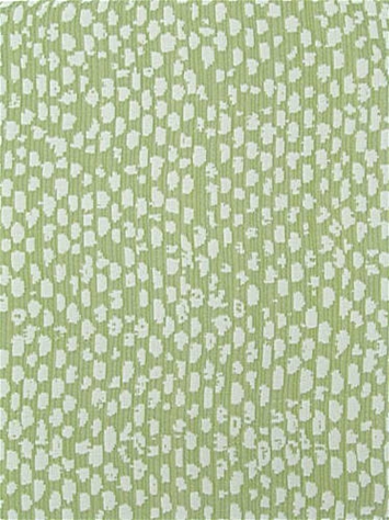 Conga Lime Bella Dura Fabric