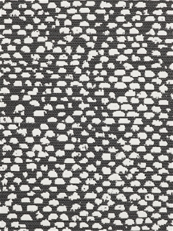 Conga Charcoal Bella Dura Fabric