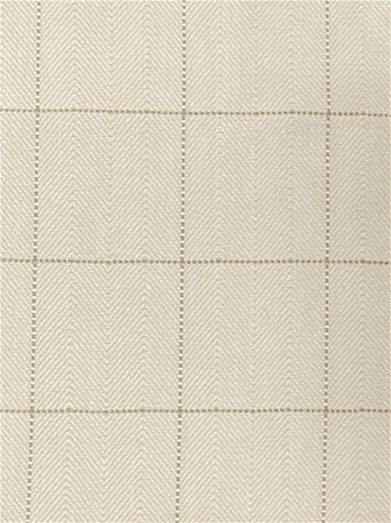 Copley Square Snowflake Roth and Tompkins Fabric