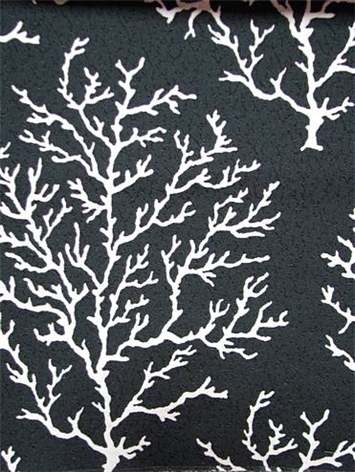 Coral Craze Licorice