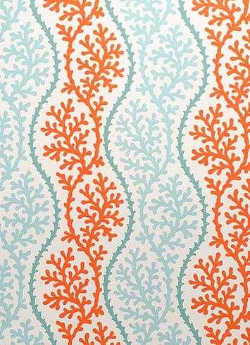 OD Coral Splendor Coral