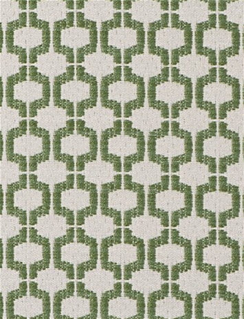 Coraleen Endive Inside Out Fabric