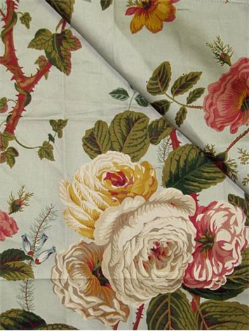 Cottage Rose Will