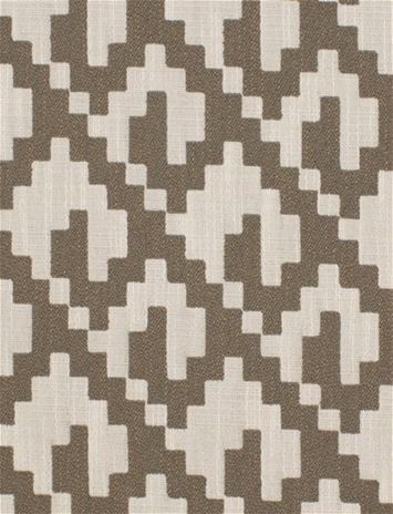 Coty 22215 Global Design