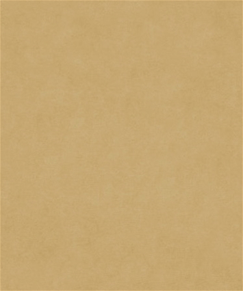 M9989-CHAMOIS 11005