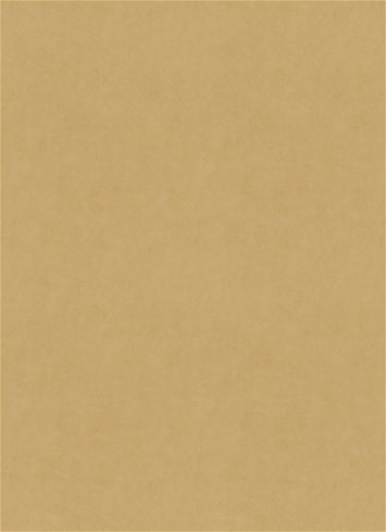 Counterpoint 31005 M9989 Chamois