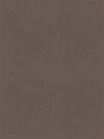 Counterpoint 42303 M9989 Oyster