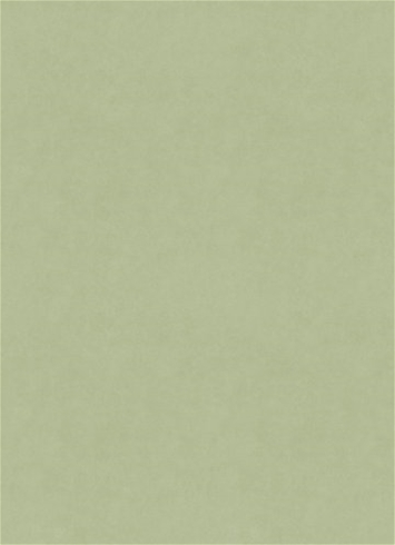 Counterpoint M9989 62101 Celadon Barrow Fabric
