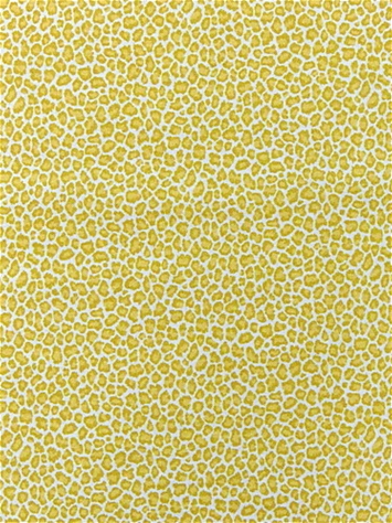 Cubby Maize P Kaufmann Fabric
