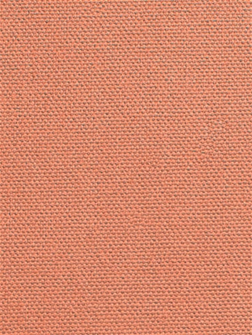 DK61731 142 Peach