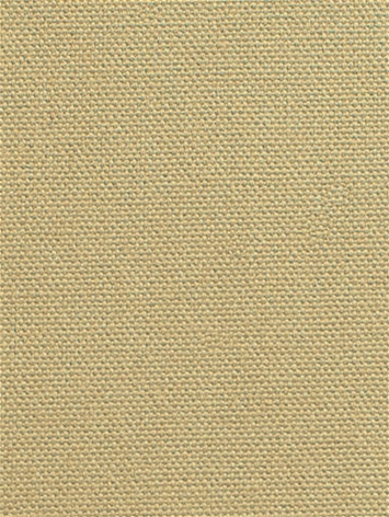 DK61731 152 Wheat
