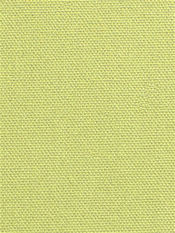 DK61731 320 Leaf