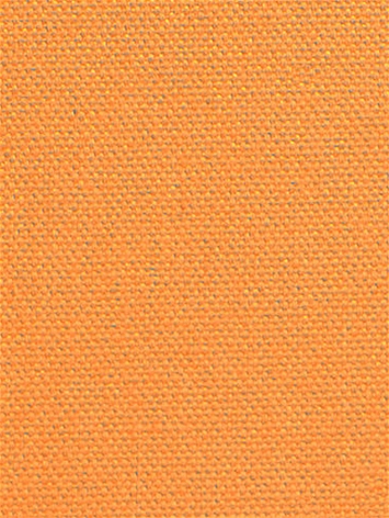 DK61731 451 Papaya