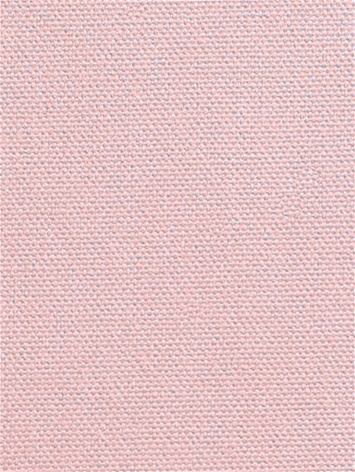 DK61731 4 Pink