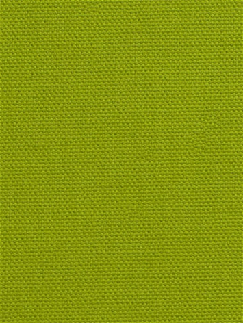 DK61731 579 Peridot
