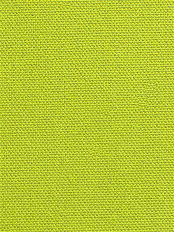 DK61731 609 Wasabi