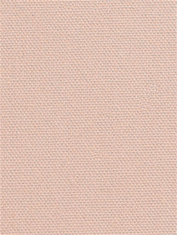 DK61731 963 Flamingo