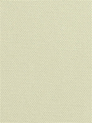 DK61731 85 Parchment