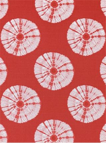 Day Tripper 73 Rose Red