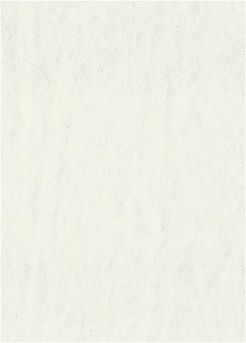Prairie - Washed White Denim