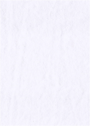 New Classic Snow White Denim