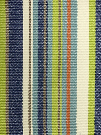 Dexter Multi Bella Dura Fabric