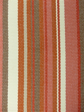 Dexter Persimmon Bella Dura Fabric