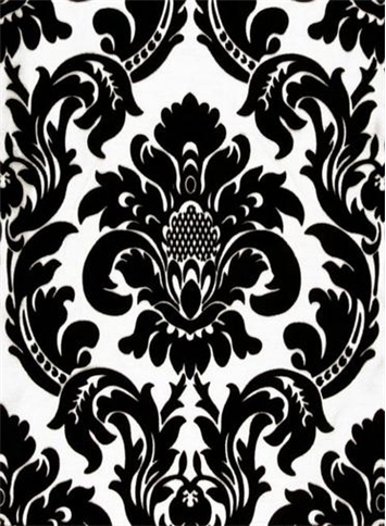 Dior Damask Black White