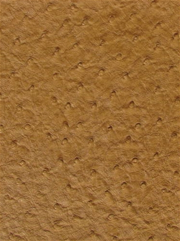Emu Apricot Mitchell Vinyl