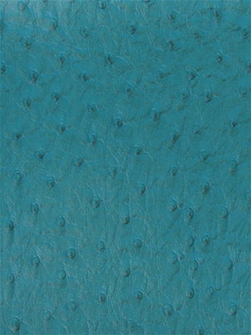 Emu Teal Mitchell Vinyl