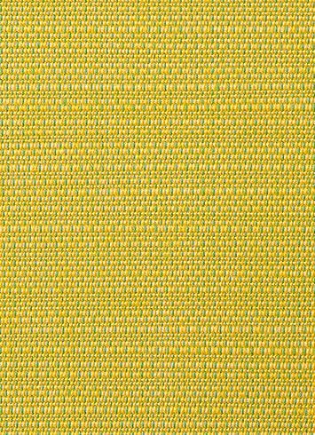 Echo Citron 8079-000
