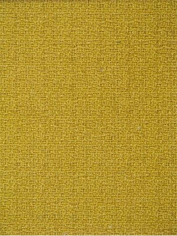 Eli Mimosa - Nate Berkus Fabric