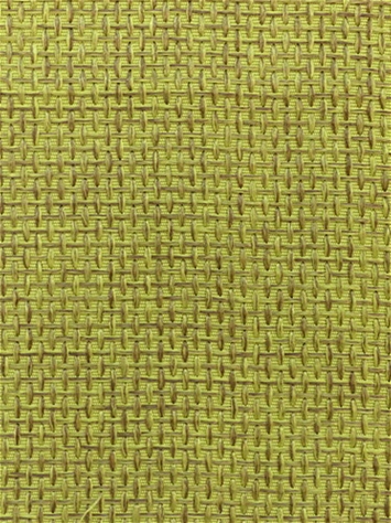 Empire Burlap Kiwi 