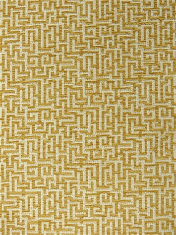 Entangled 804 Sunglow Hilary Farr Fabric Designs by Covington