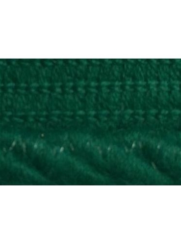 Sunbrella 1/4 Inch Cord Edge Erin Green